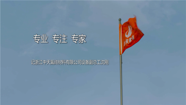 《专业 专注 专家 》——2017年度G22恒峰十大优秀工程师沈刚专题片